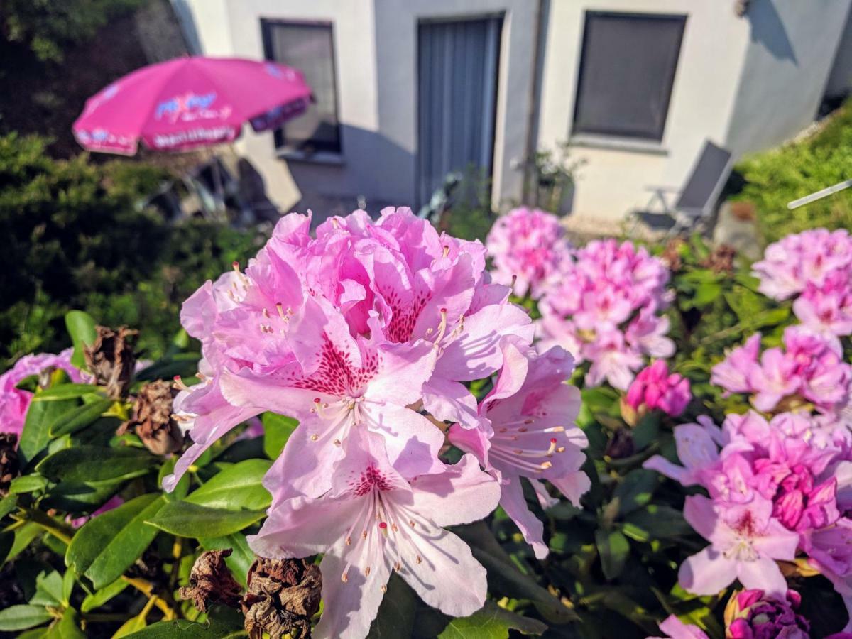 Ferienwohnung Mit Terrasse 그림마 외부 사진